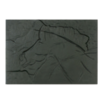 Incisione Preistorica